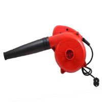Picture of Air Blower 600W  (Anti- Vibration) Un- Brakable