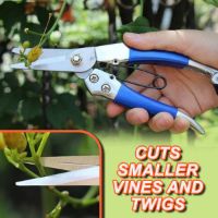 Picture of GARDENING SCISSOR STRAIGHT Sharp shearing, toughness and Portablity 
