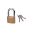 Picture of BERENT Padlock Long 38mm BT3307
